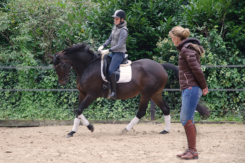 Trainingen Trainingen